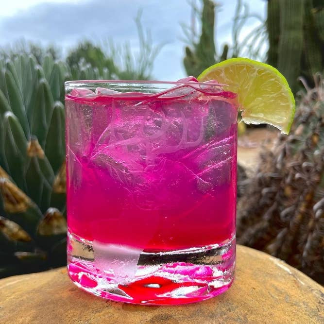 Brushfire Farms - Prickly Pear Simple Syrup