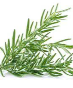 Olivin - Rosemary Olive Oil